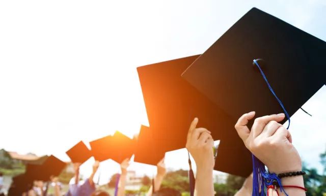 國際學校的課程怎麼選？