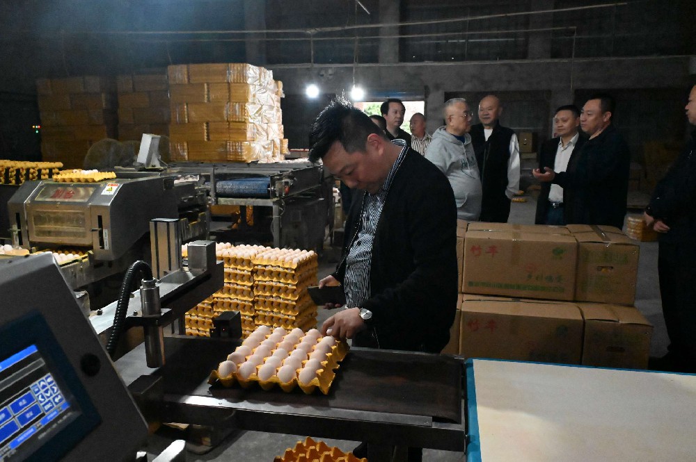 李永飛出席重慶市江夏文化研究會第三次調研工作座談會並講話